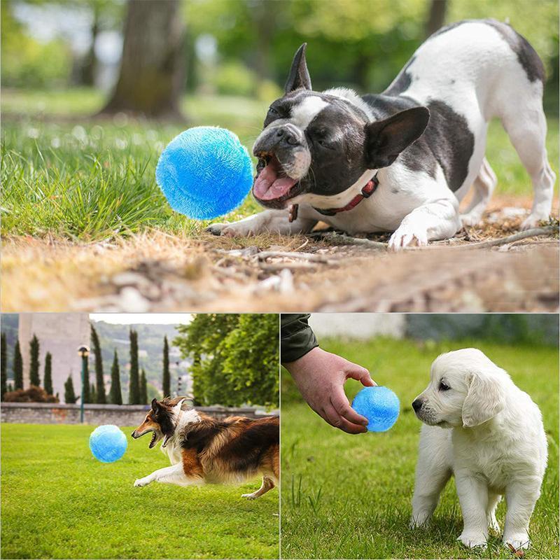 Magische bal voor honden - Image 5