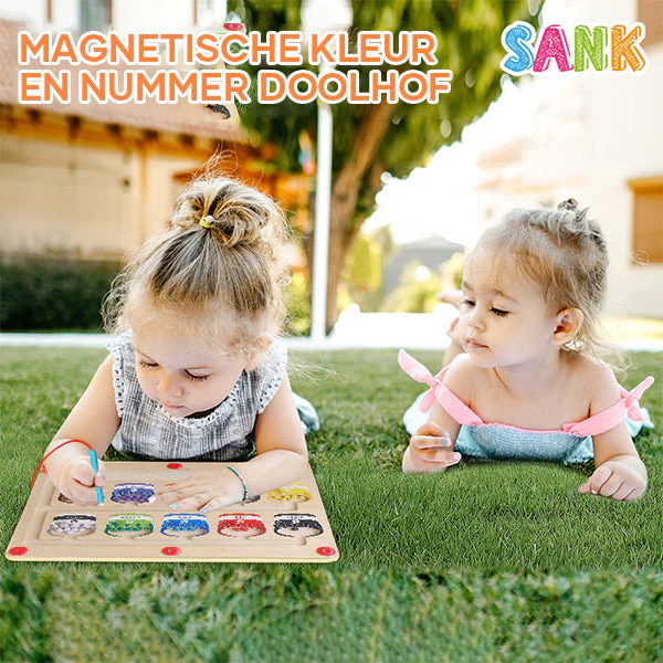 Magnetisch kleuren- en getallendoolhof - Image 12