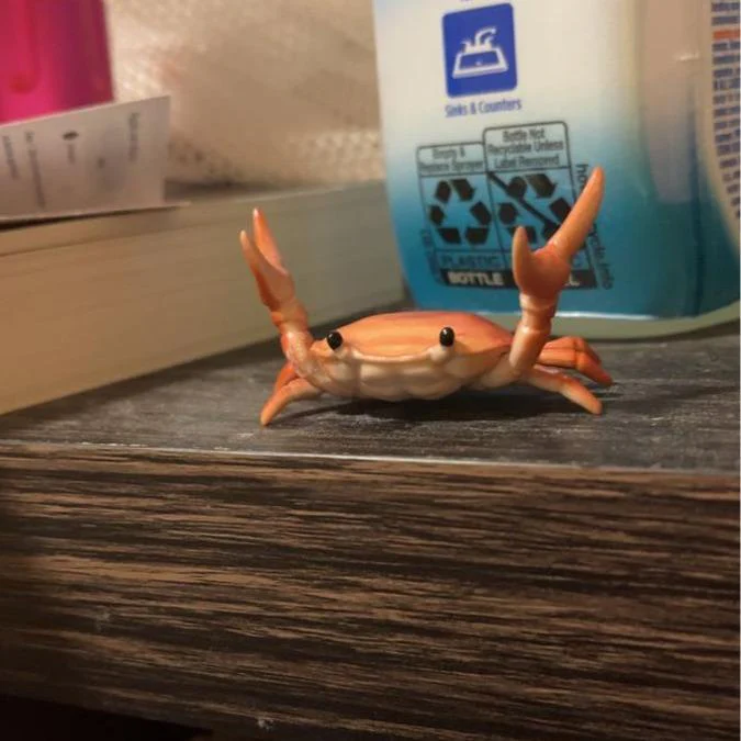 MarvelCrab Organizer — Directe Rust, Netjes Plezier - Image 4