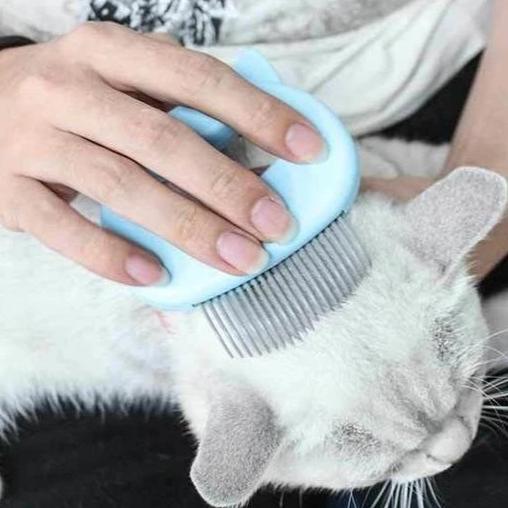 Massage & Trimplezier voor Kat - Image 4