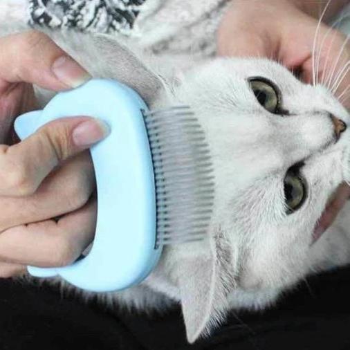 Massage & Trimplezier voor Kat - Image 5