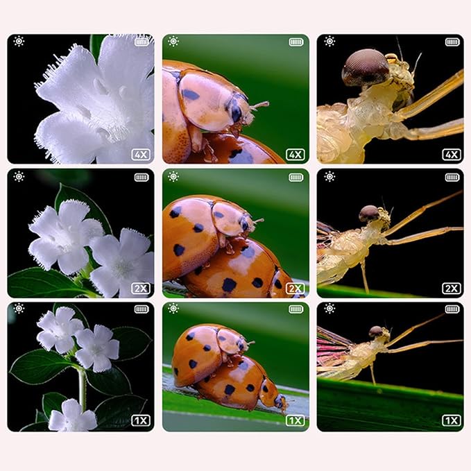 Microscoop voor kinderen - Image 3