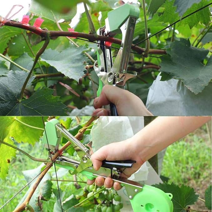 AttachePro  - Nietmachine voor planten | 50% KORTING - Image 2