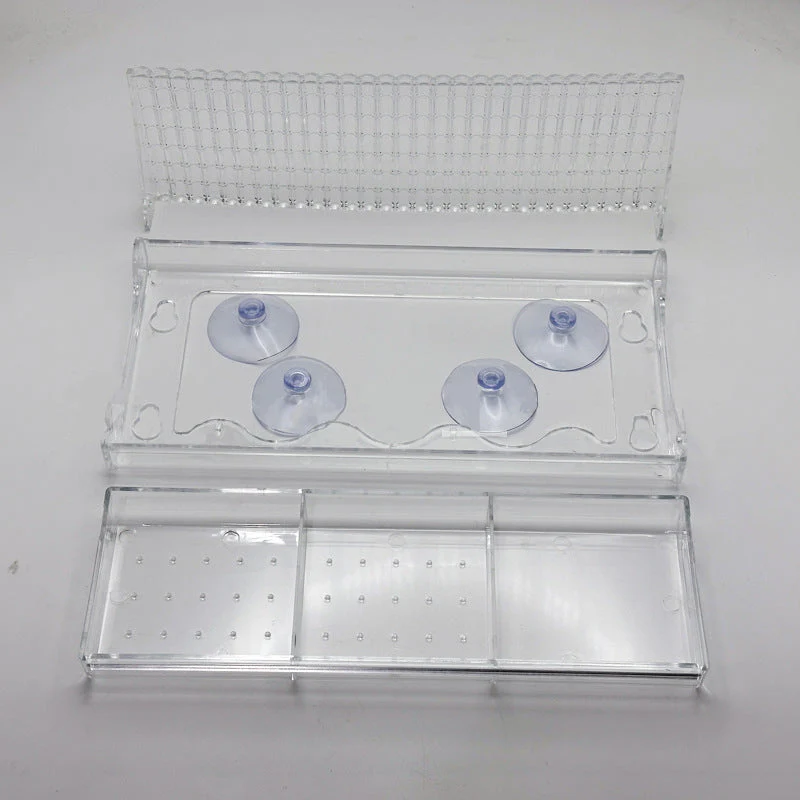Outdoor Clear View Window Zuignap Vogelvoeder - Image 9