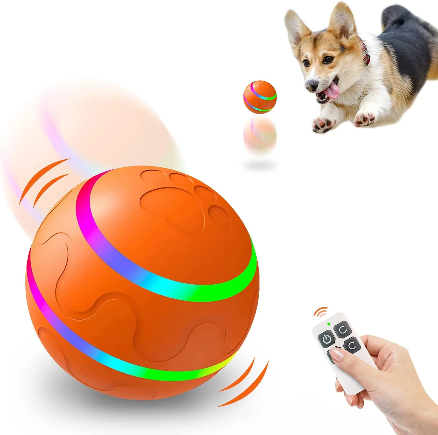 Paw Ball spelen - De ultieme speelkameraad