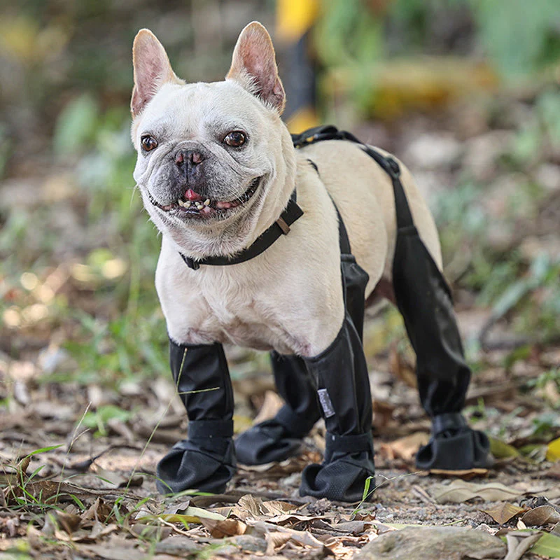 PawGuard™ - Veilige en comfortabele poten | 50% KORTING - Image 6