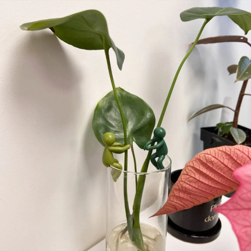 Plant Propagation Buddy - Image 8