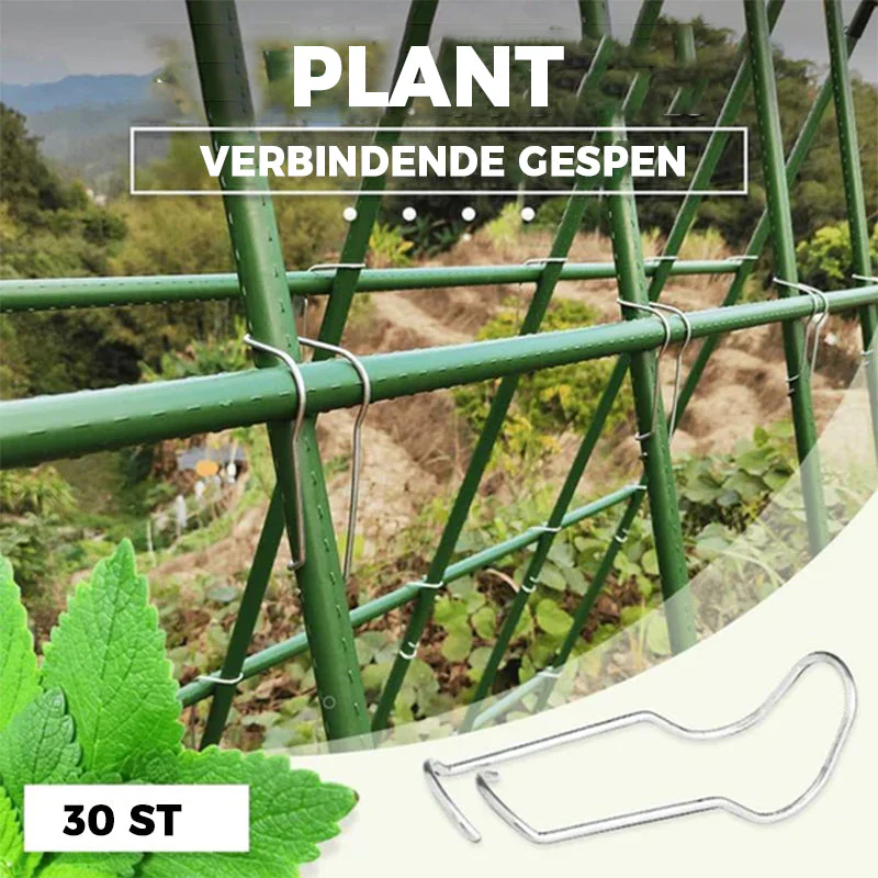 Plant verbindende gespen - Image 3