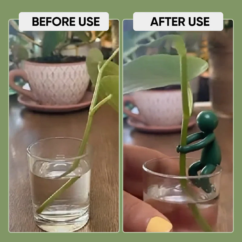 PlantBuddy - Plantvermeerdering Buddy - Image 2