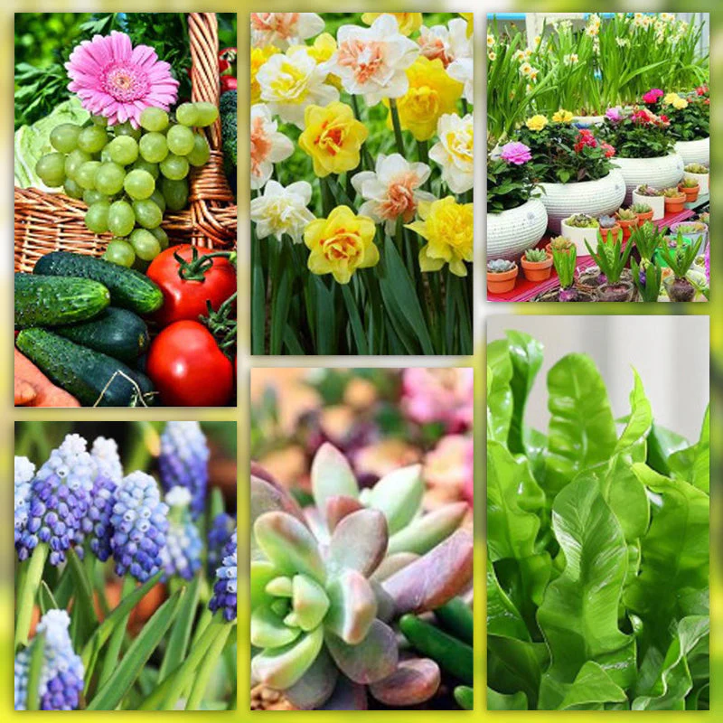PlantEssentia — Ontketen Levendige Groei - 18 Beats - Image 8