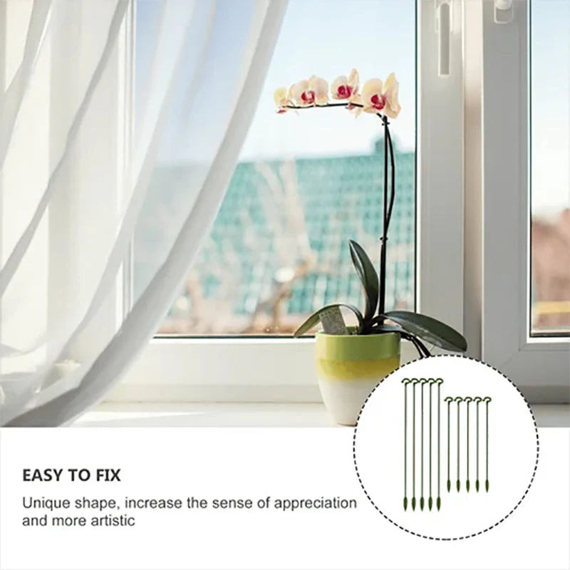 PlantCare - Plantsteun | 50% KORTING - Image 8