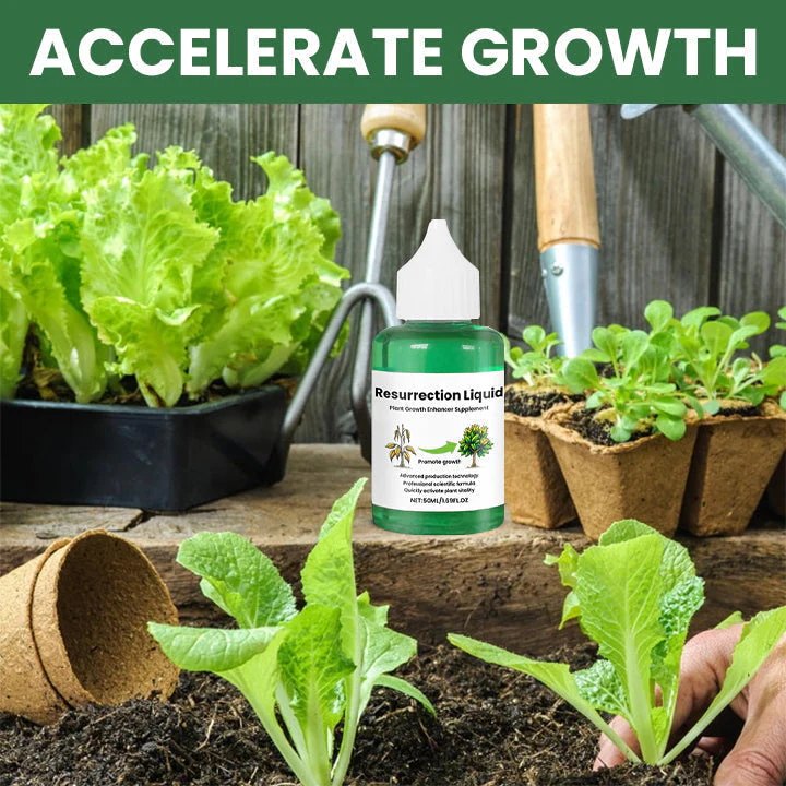 PlantVitaal™ – Herleef je Planten met Resurrection Liquid! | 1+2 GRATIS - Image 4