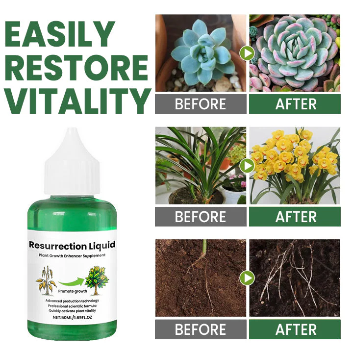 PlantVitaal™ – Herleef je Planten met Resurrection Liquid! | 1+2 GRATIS - Image 7