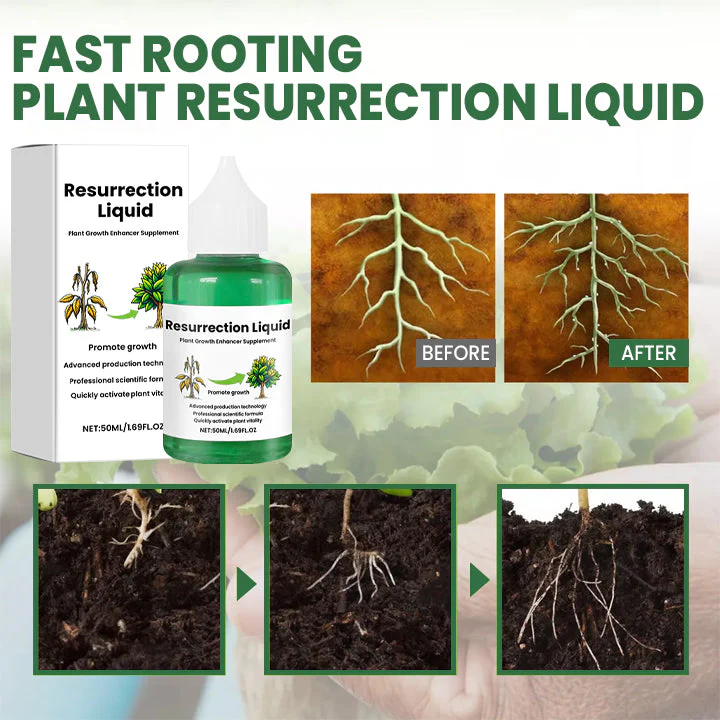 PlantVitaal™ – Herleef je Planten met Resurrection Liquid! | 1+2 GRATIS - Image 8