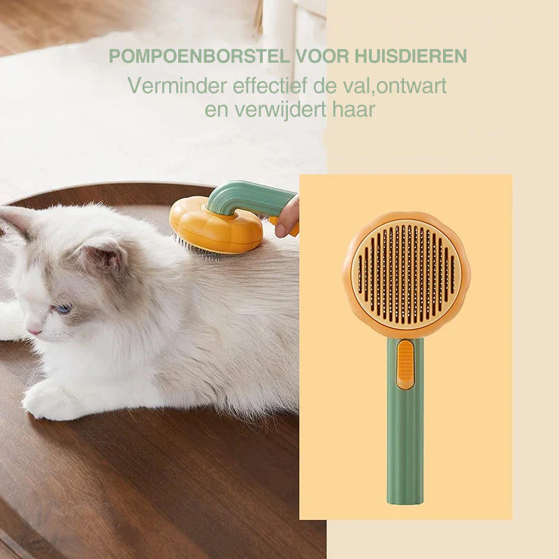 Pompoenkamborstel voor huisdieren - Image 4