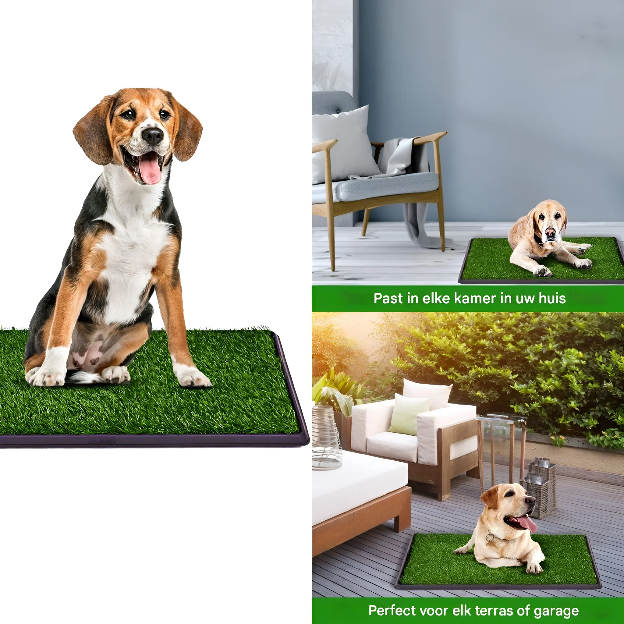 PuppyPottyPro - Draagbare huisdieren Plasmat met Dienblad | 50% KORTING