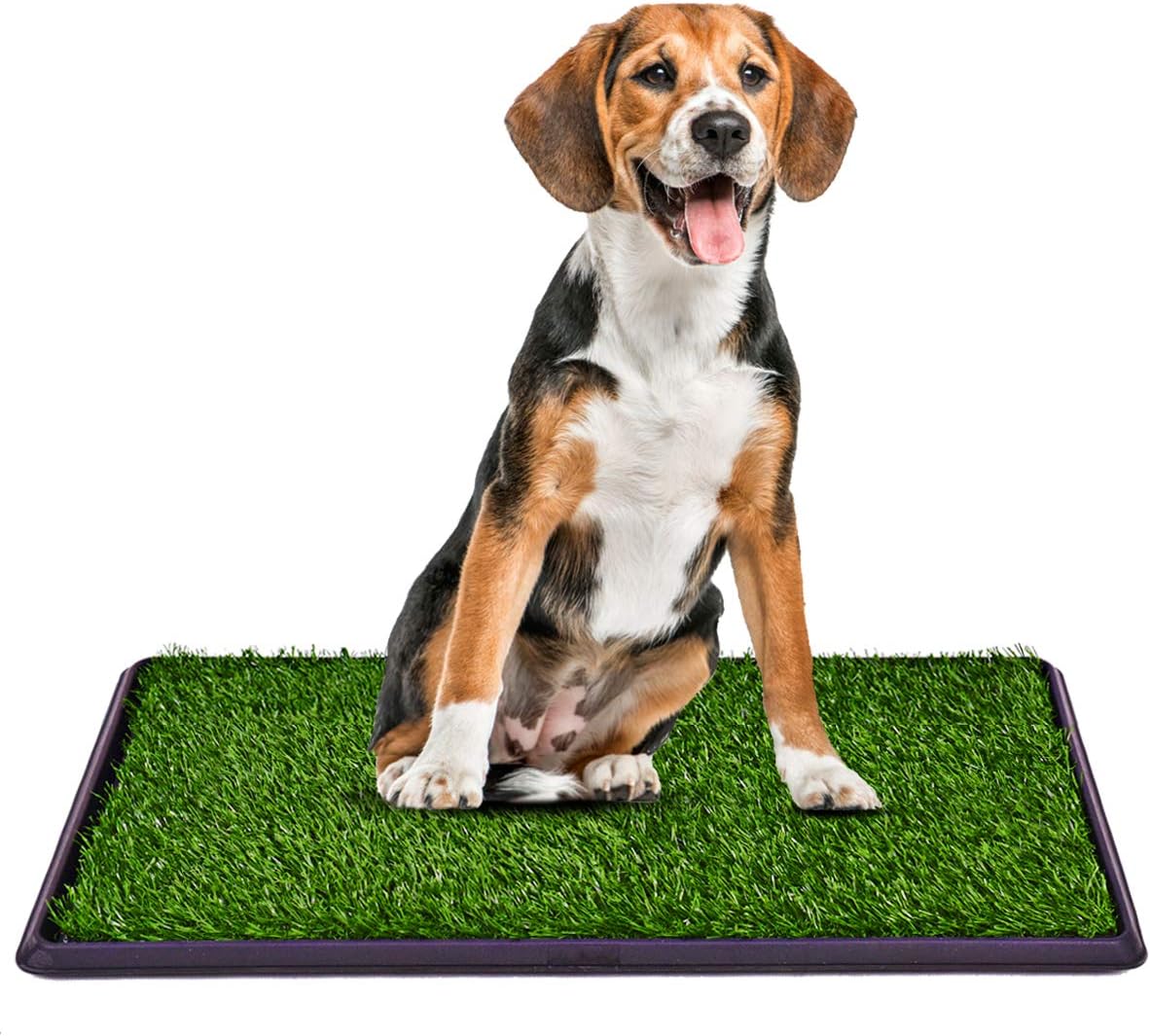 PuppyPottyPro - Draagbare huisdieren Plasmat met Dienblad | 50% KORTING - Image 2