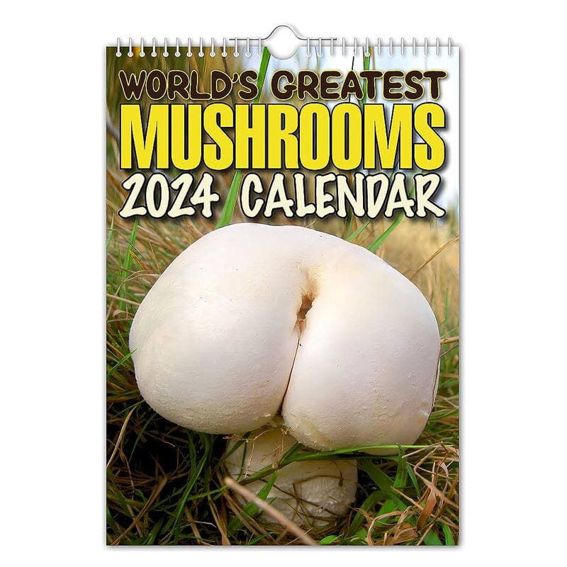 GekkeKalenders - Vrolijk je jaar op met de meest eigenzinnige wandkalender | 50% KORTING - Image 9