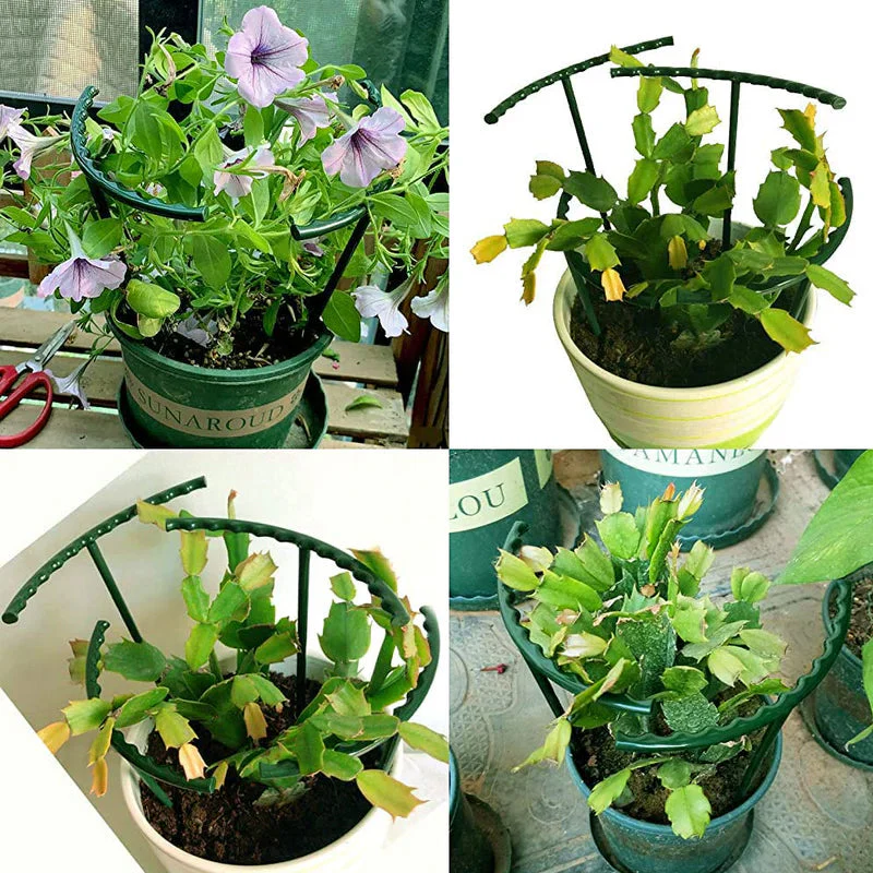 Steunkooien voor tuinplanten - Image 7