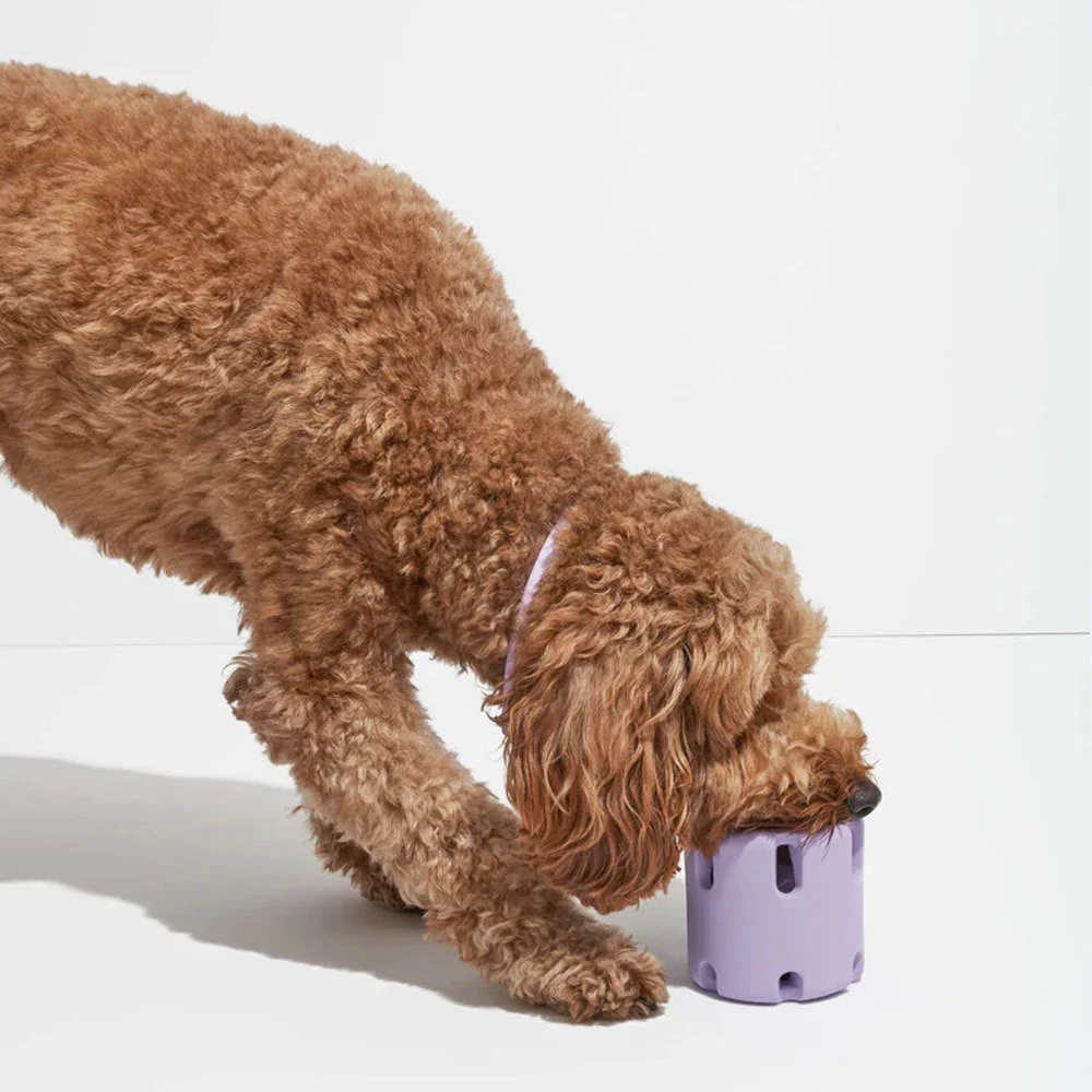 FetchJoy  - Tennis speeltje voor honden | 1+1 GRATIS