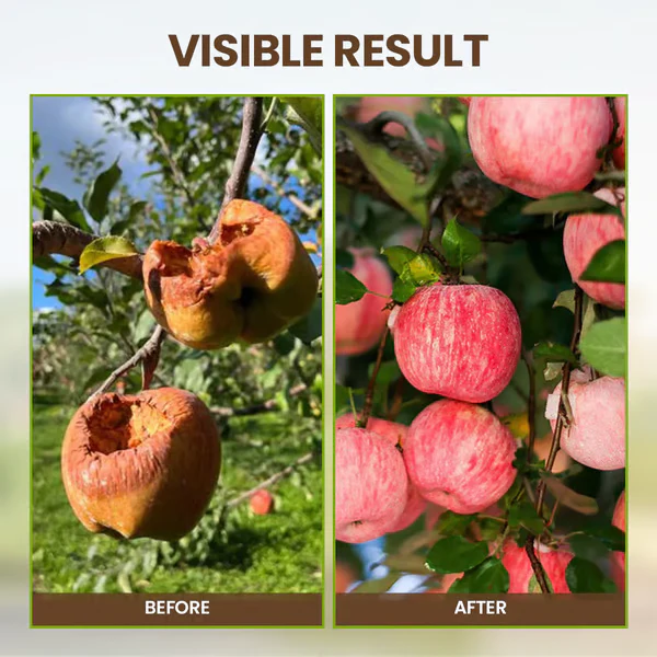 TerraBurst — Herstel Wortels Direct | Koop 1, Krijg 1 Gratis - Image 7