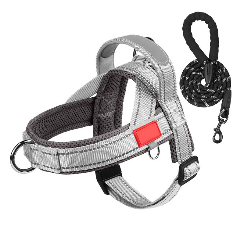 Total Comfort Harnas — Stressvrije, Veilige Wandelingen - Image 11