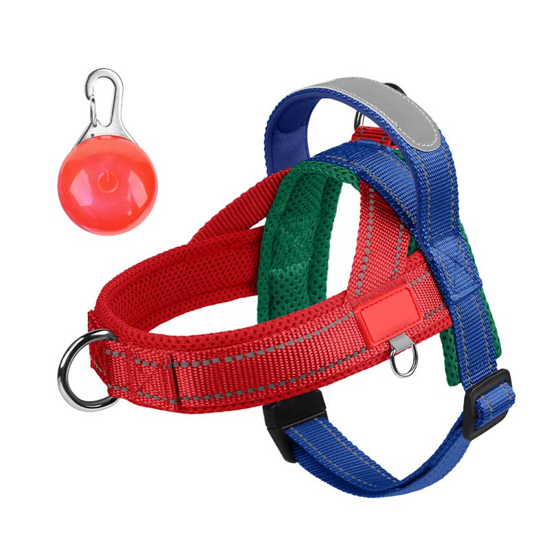 Total Comfort Harnas — Stressvrije, Veilige Wandelingen - Image 14