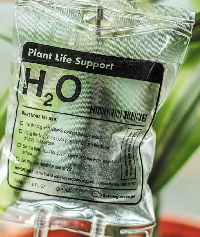 Trendy Watersysteem Infuus Voor Planten - 1 + 1 GRATIS - Image 4