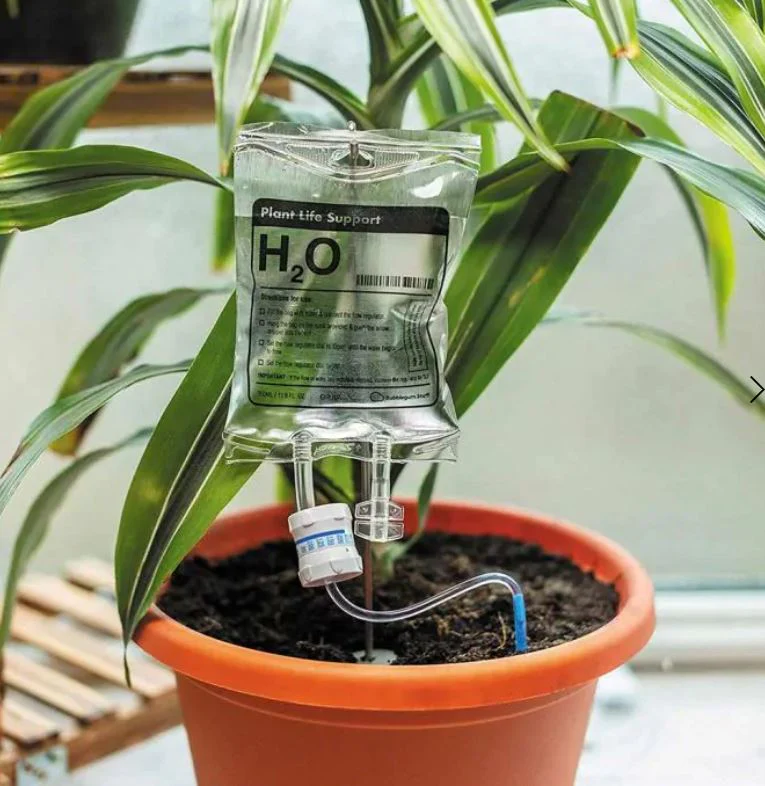 Trendy Watersysteem Infuus Voor Planten - 1 + 1 GRATIS - Image 6