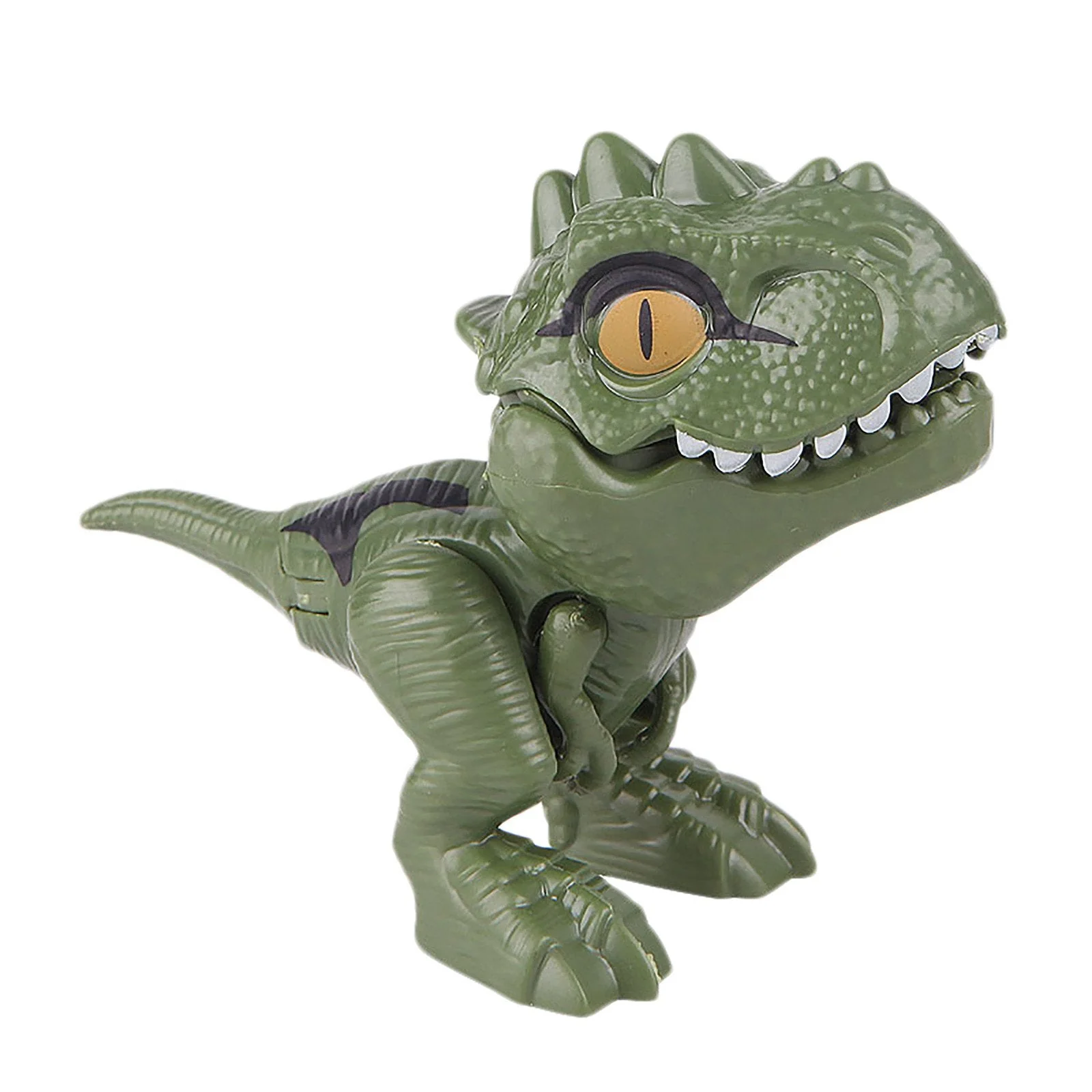 Vingervlug dinosaurusskelet - Image 10