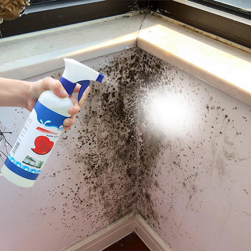 Wall mildew cleaner - Image 4