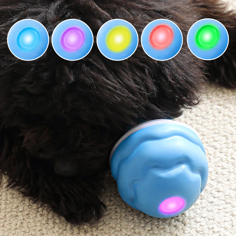 WhirlPaw – Interactieve Speelbal | 2+1 GRATIS - Image 9