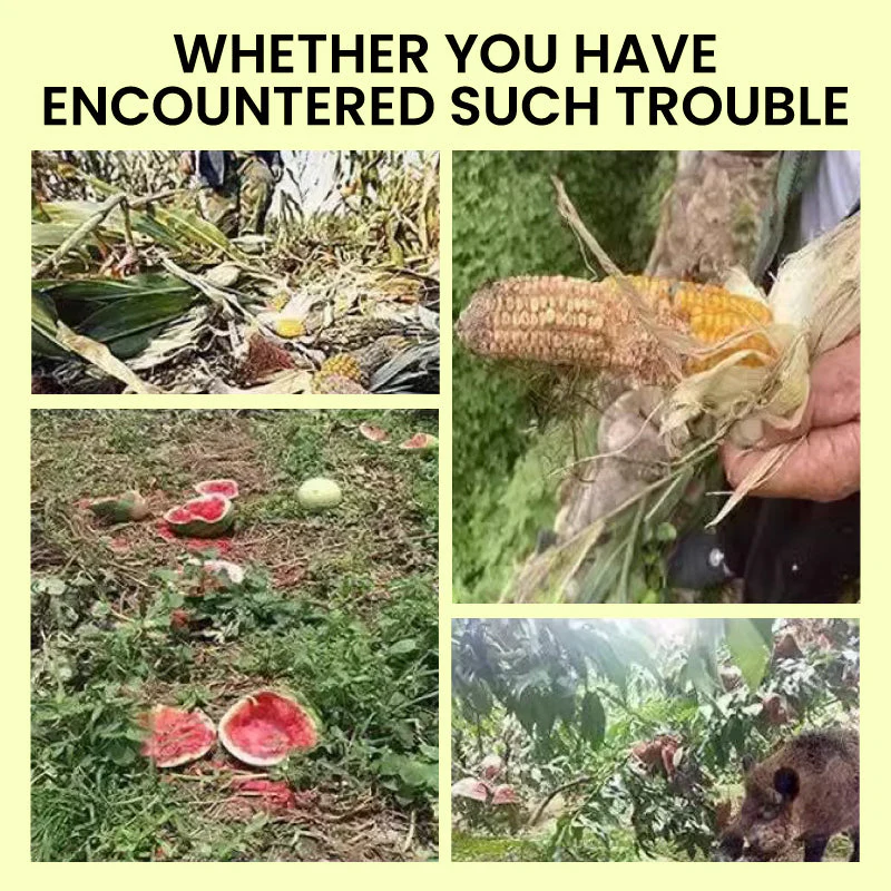 Zonne-energie Beschermingslampen – Verdedig Uw Tuin Zonder Vrees - Image 2