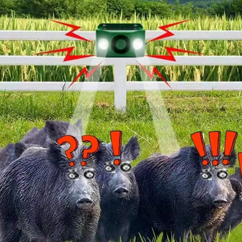 Zonne-energie Beschermingslampen – Verdedig Uw Tuin Zonder Vrees - Image 4