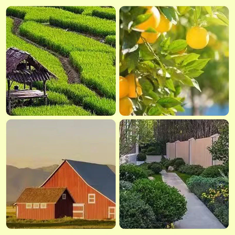 Zonne-energie Beschermingslampen – Verdedig Uw Tuin Zonder Vrees - Image 5