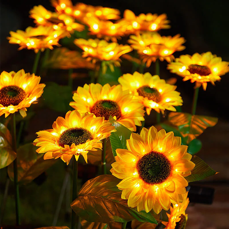 Zonnebloemlichten op zonne -energie - Image 3