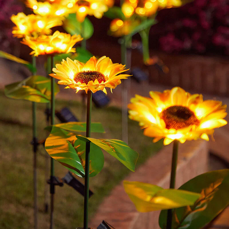 Zonnebloemlichten op zonne -energie - Image 4