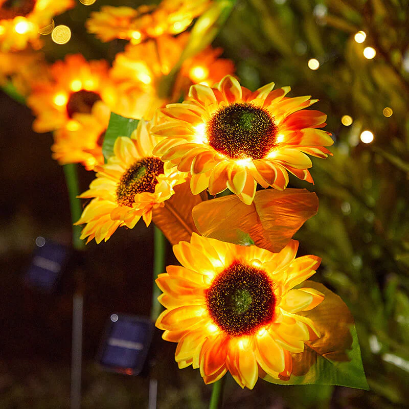 Zonnebloemlichten op zonne -energie - Image 5